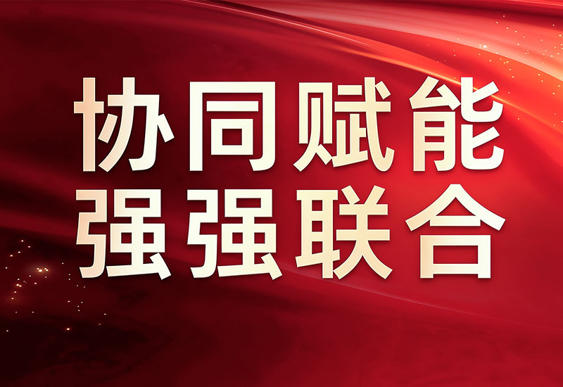 海得利兹携手绿能慧充,甲醇重整制氢发电迈入规模化落地新阶段 海得利兹携手绿能慧充,甲醇重整制氢发电迈入规模化落地新阶段